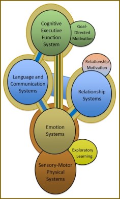 six brain systems jpg